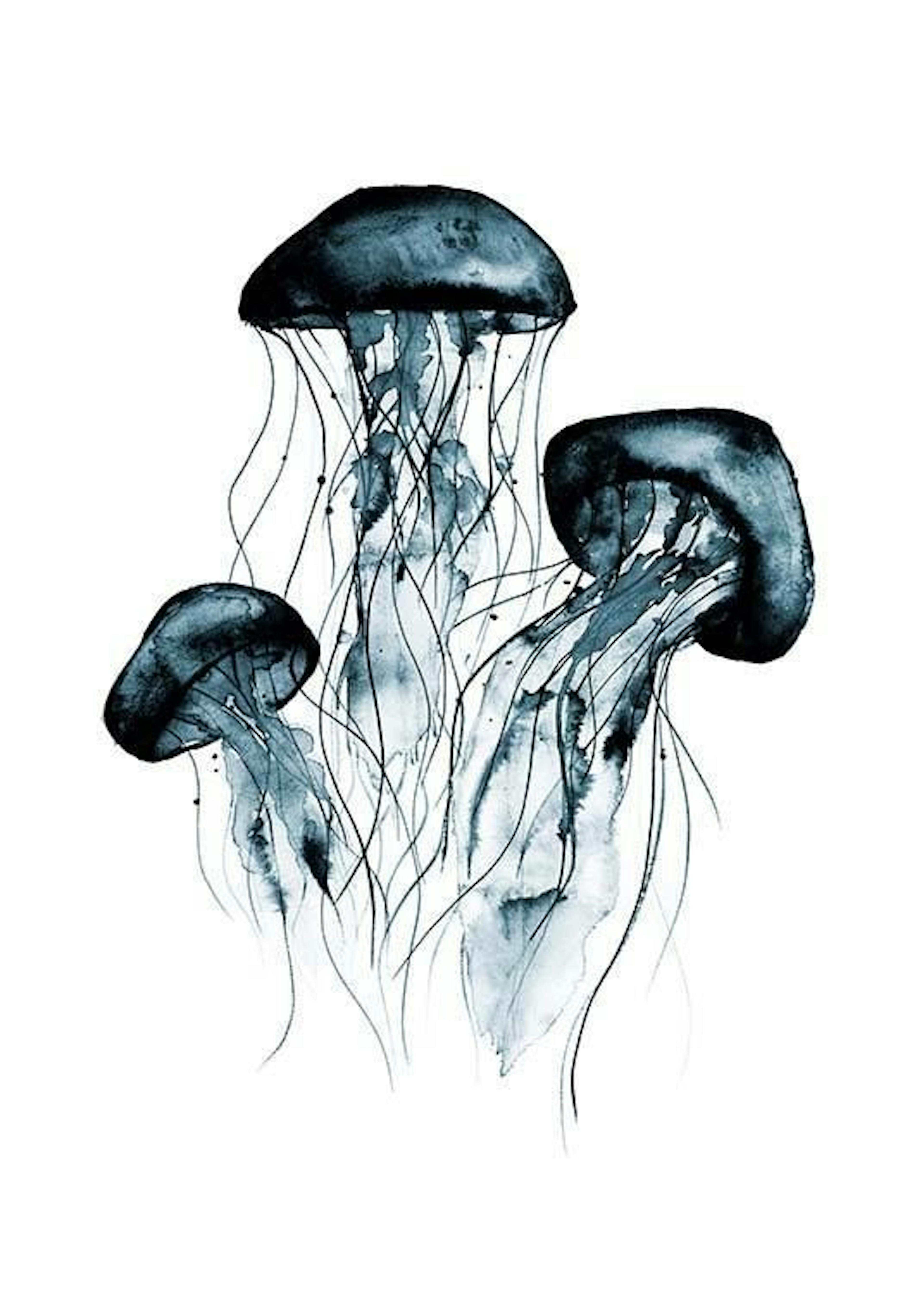 Jellyfish Watercolor Plakat