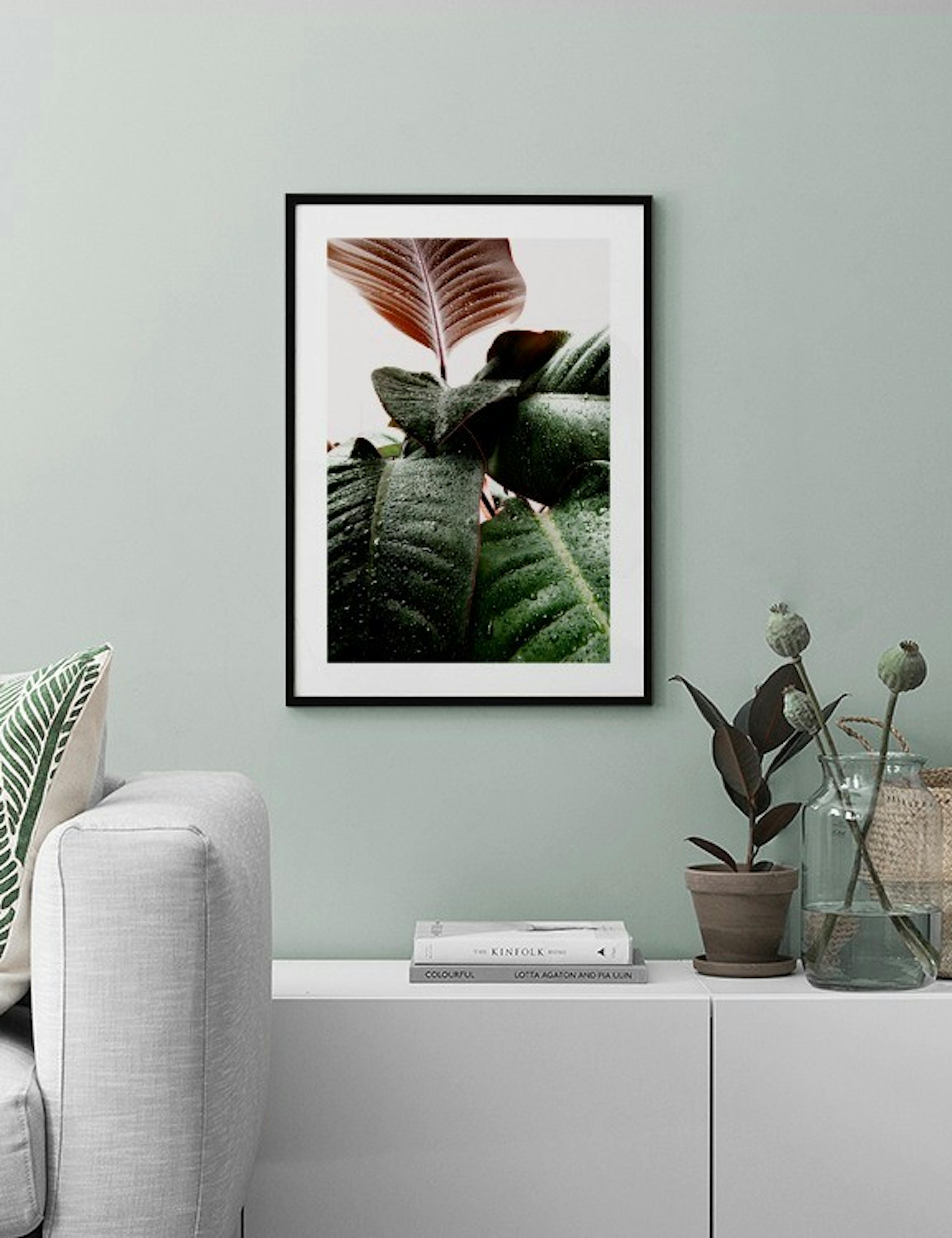 Wet Rubber Leaf One Poster