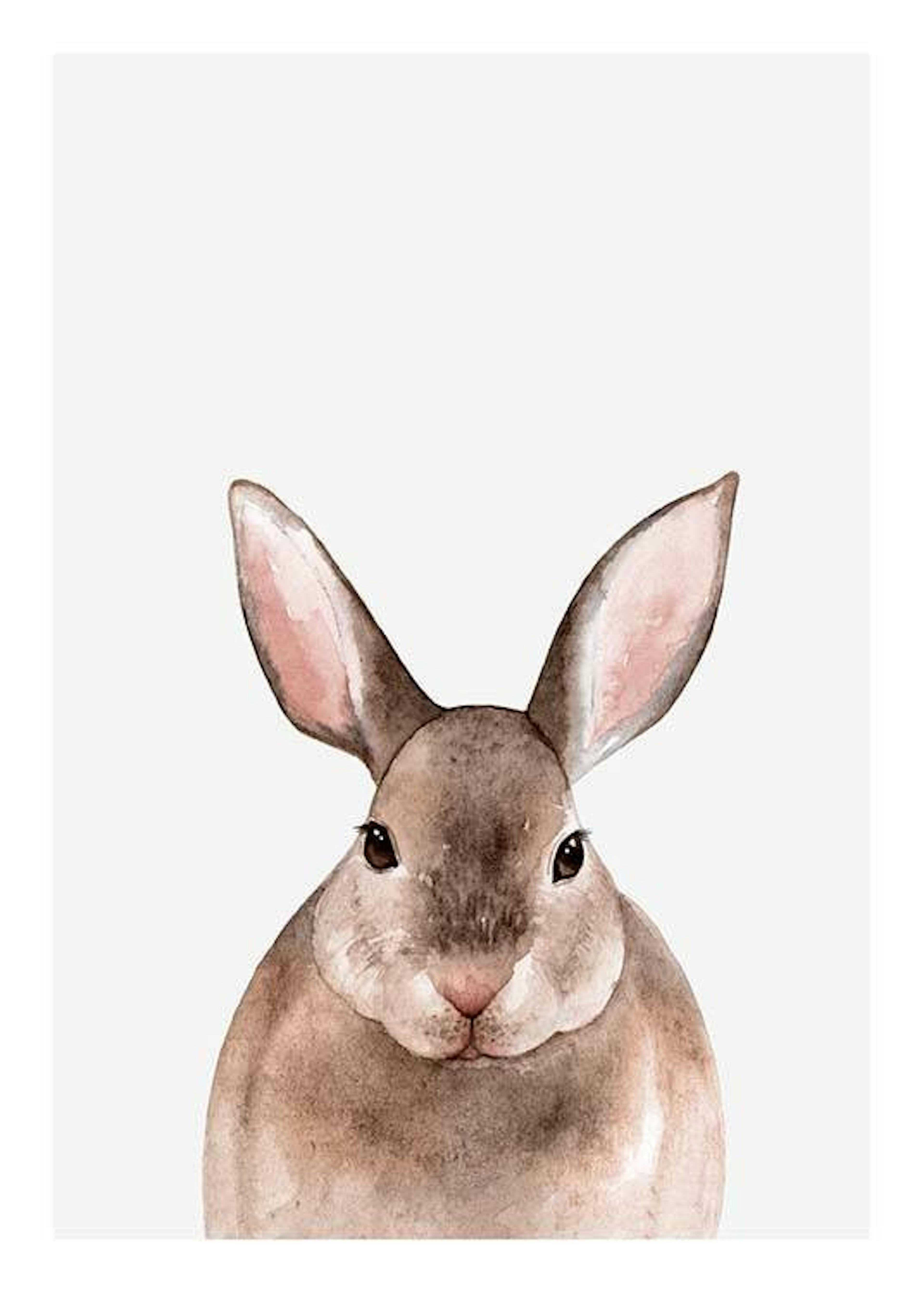 Little Rabbit Print 0