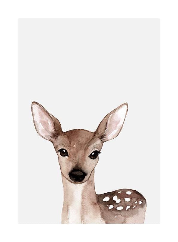 Little Deer Poster (30x40 cm)