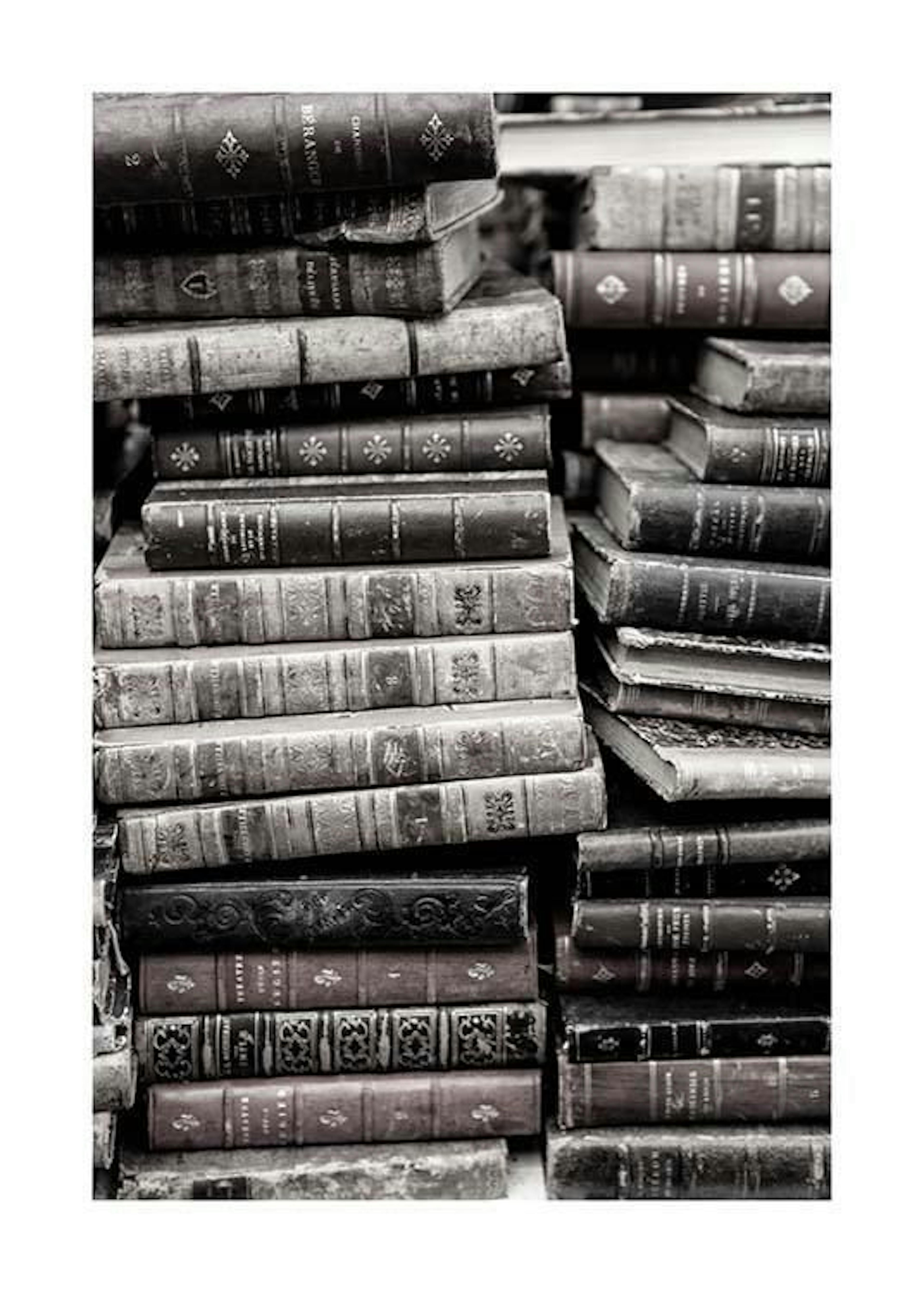 Magdalena Martin - Old Books Juliste 0