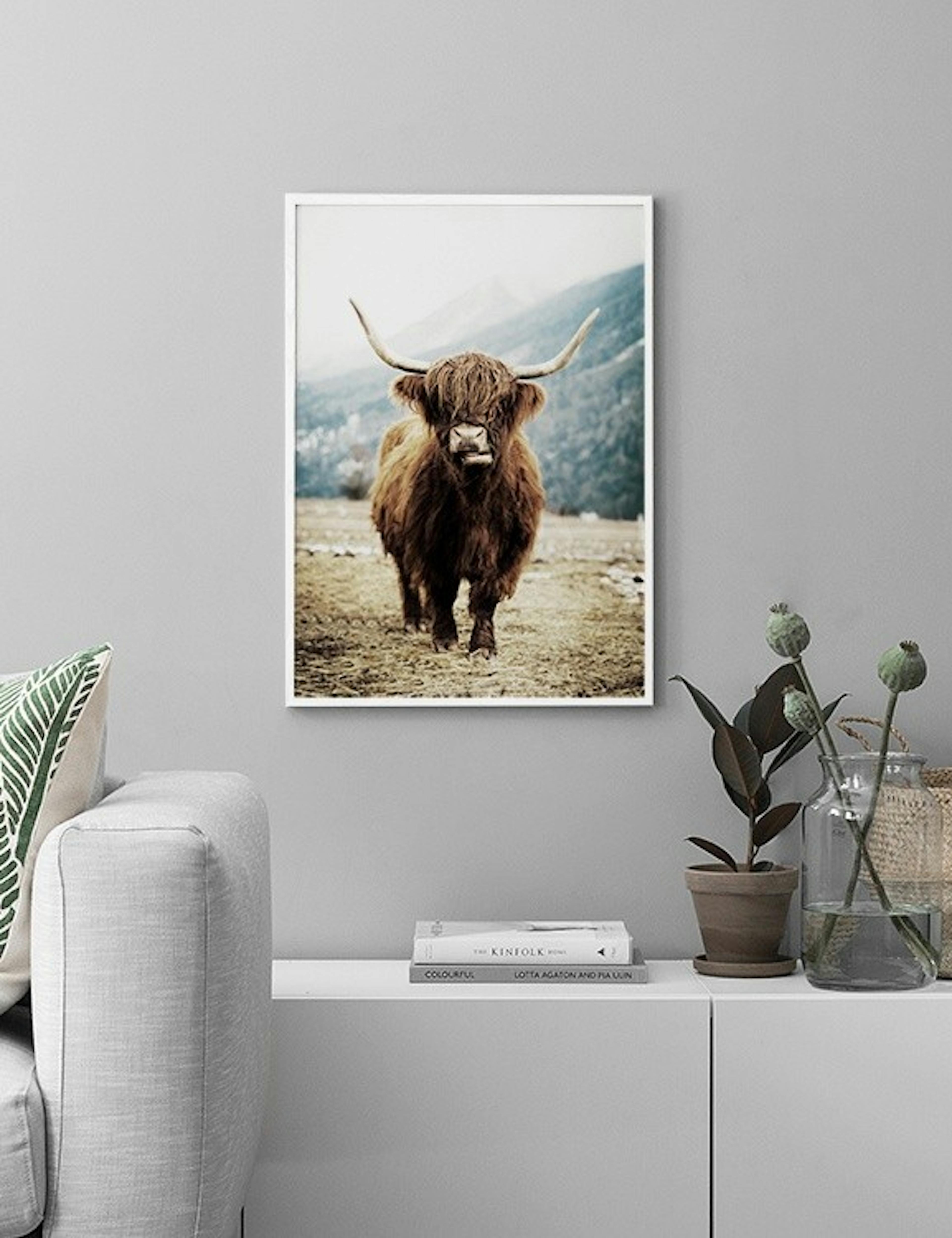 Highland Cattle On Field Print