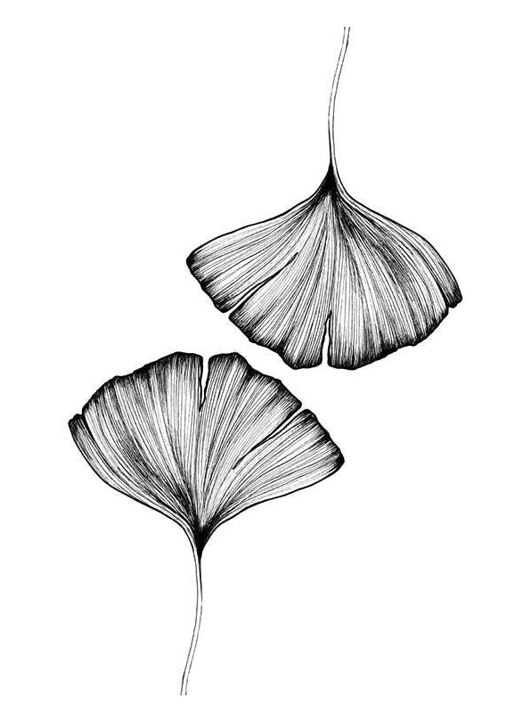 Prints - Ginkgo Leaves Print (30x40 cm) - Black & white prints