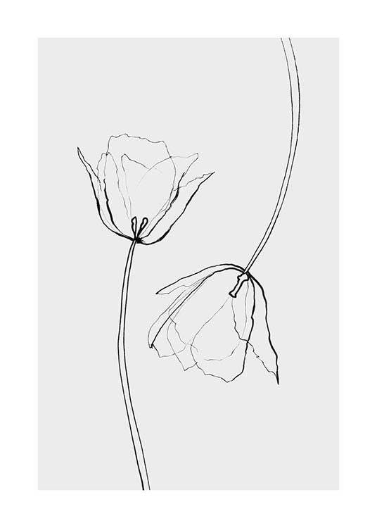 Line Tulips Poster 0