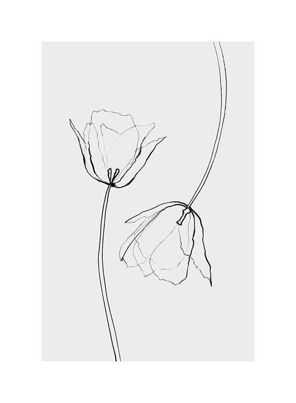 Line Tulips Poster (50x70 cm) - Schwarz-Weiß-Bilder
