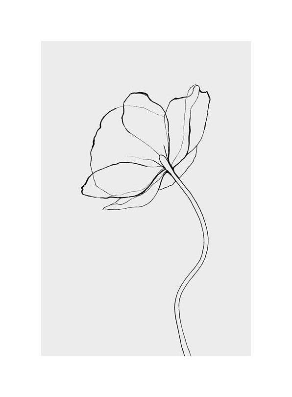 Line Poppy Poster (50x70 cm)