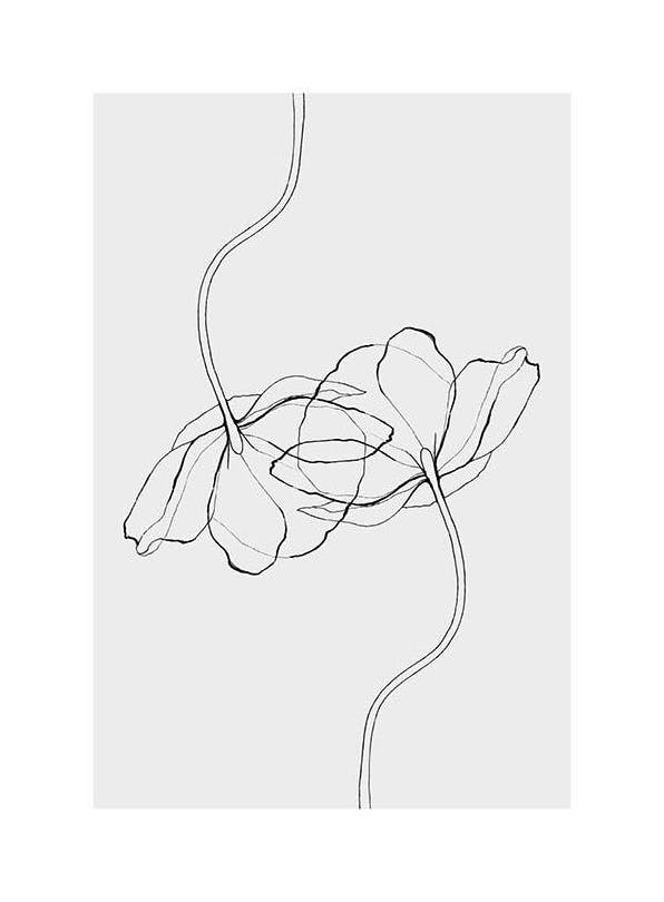 Line Poppies Poster (50x70 cm)- Quadri e poster in bianco e nero