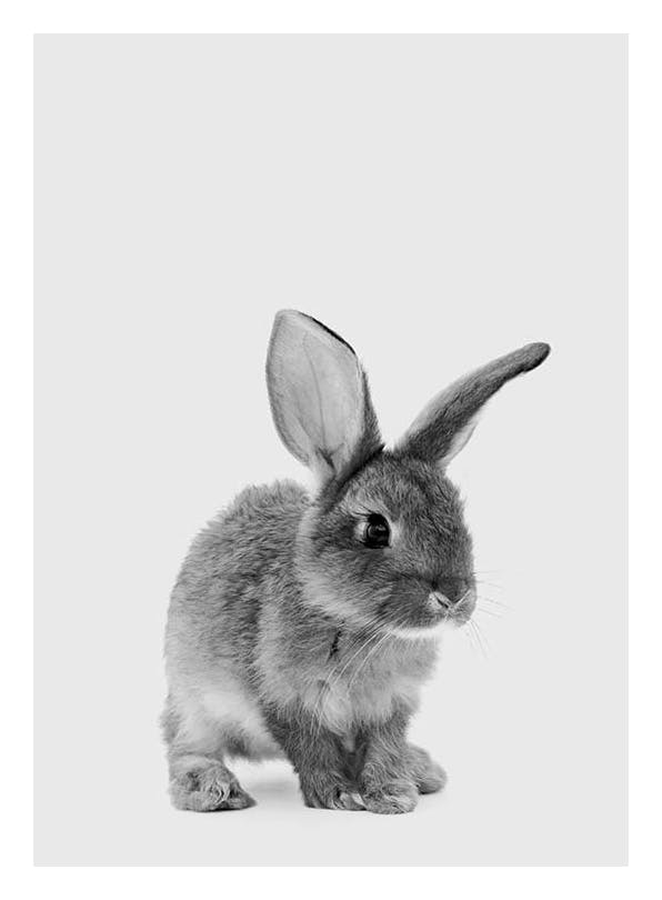 Prints - The Little Bunny Print (30x40 cm) - Kids wall art