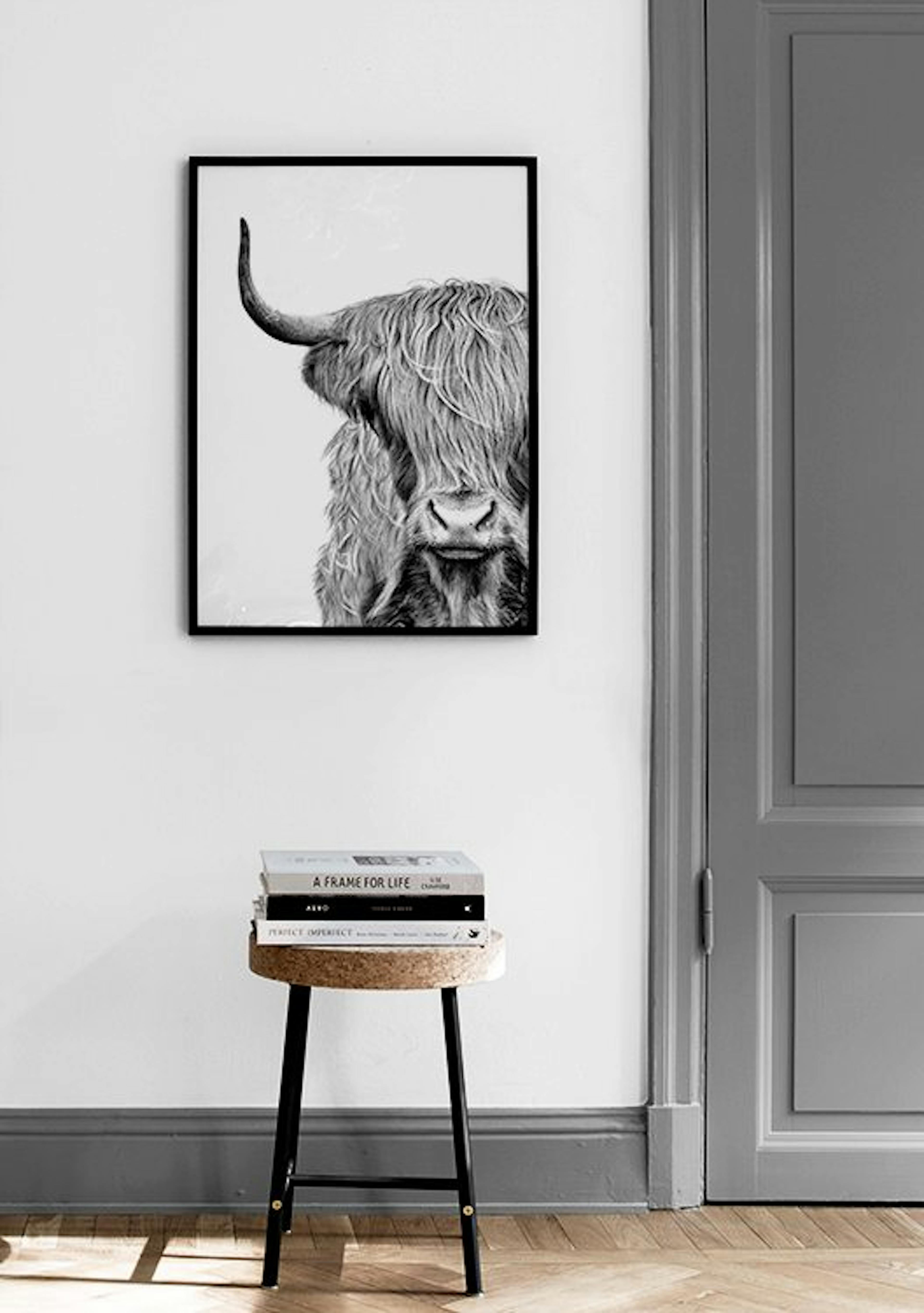 Highland Cow Close Up Print