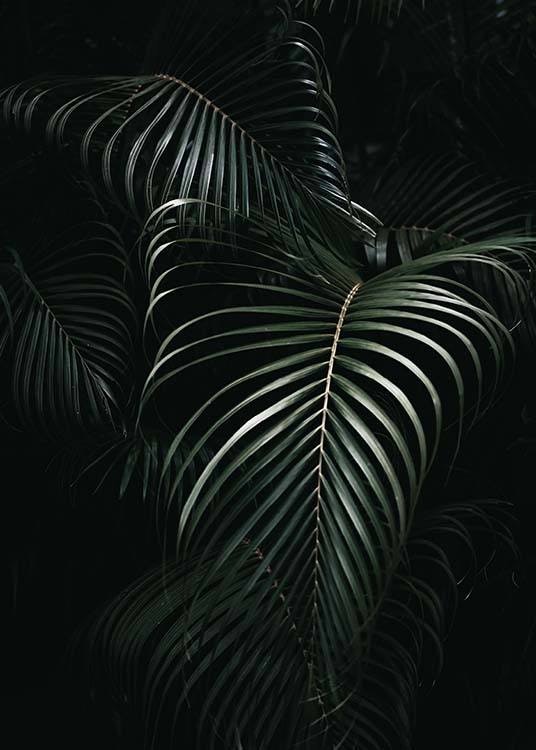 Dark Green Palm Leaves No1 Poster 0