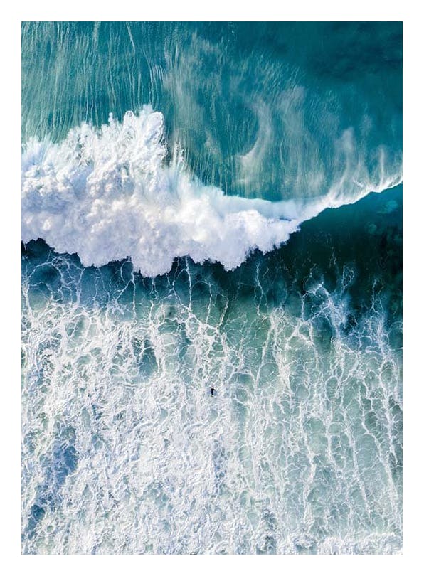 Surfers Wave Affiche (50x70 cm)