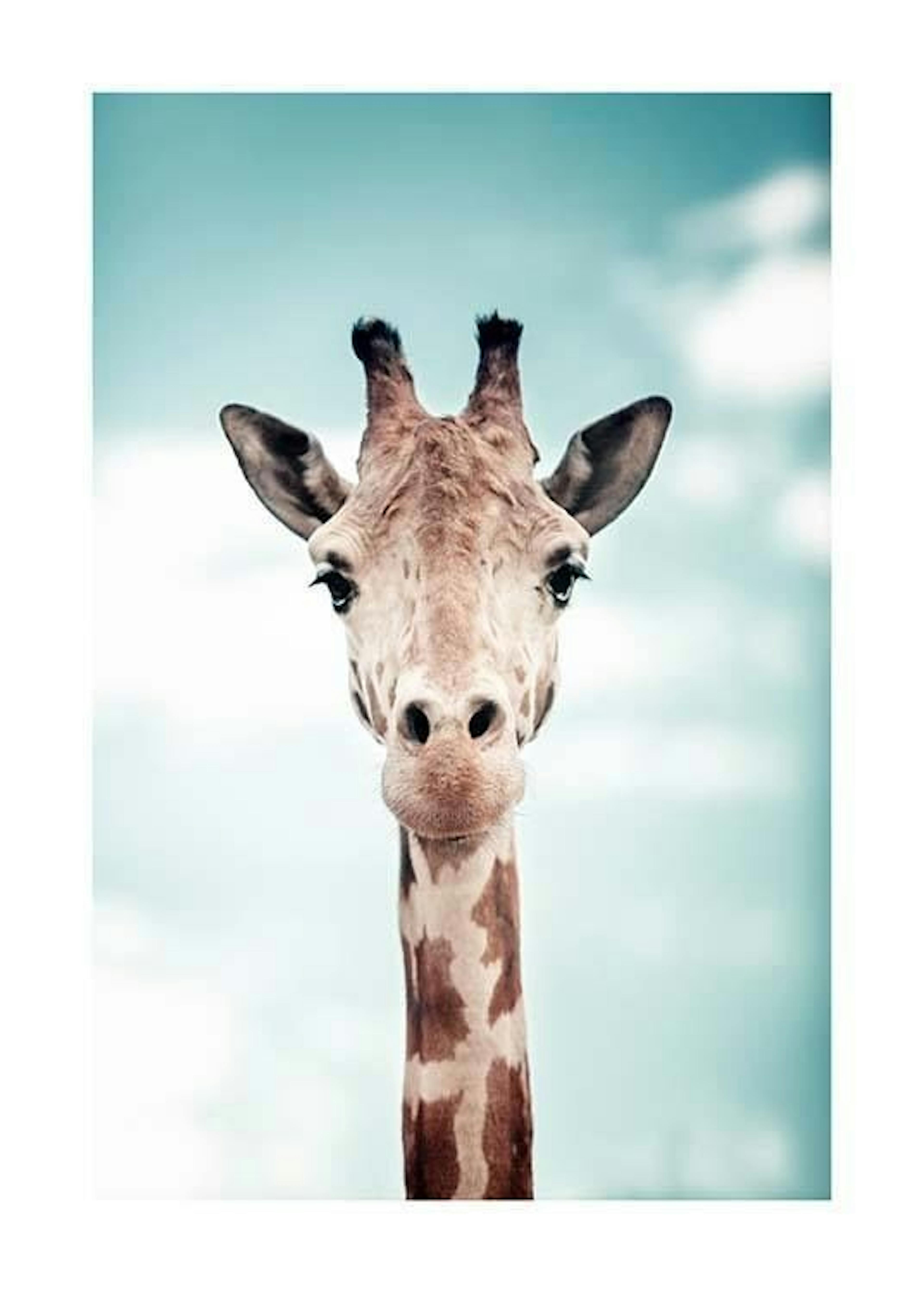 Peek A Boo Giraffe Poster