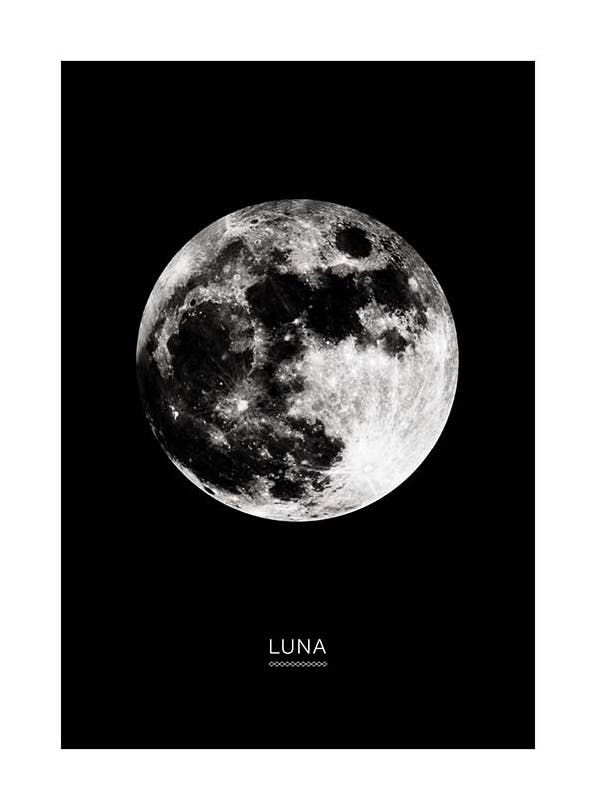 Moon In Black Plagát (50x70 cm)