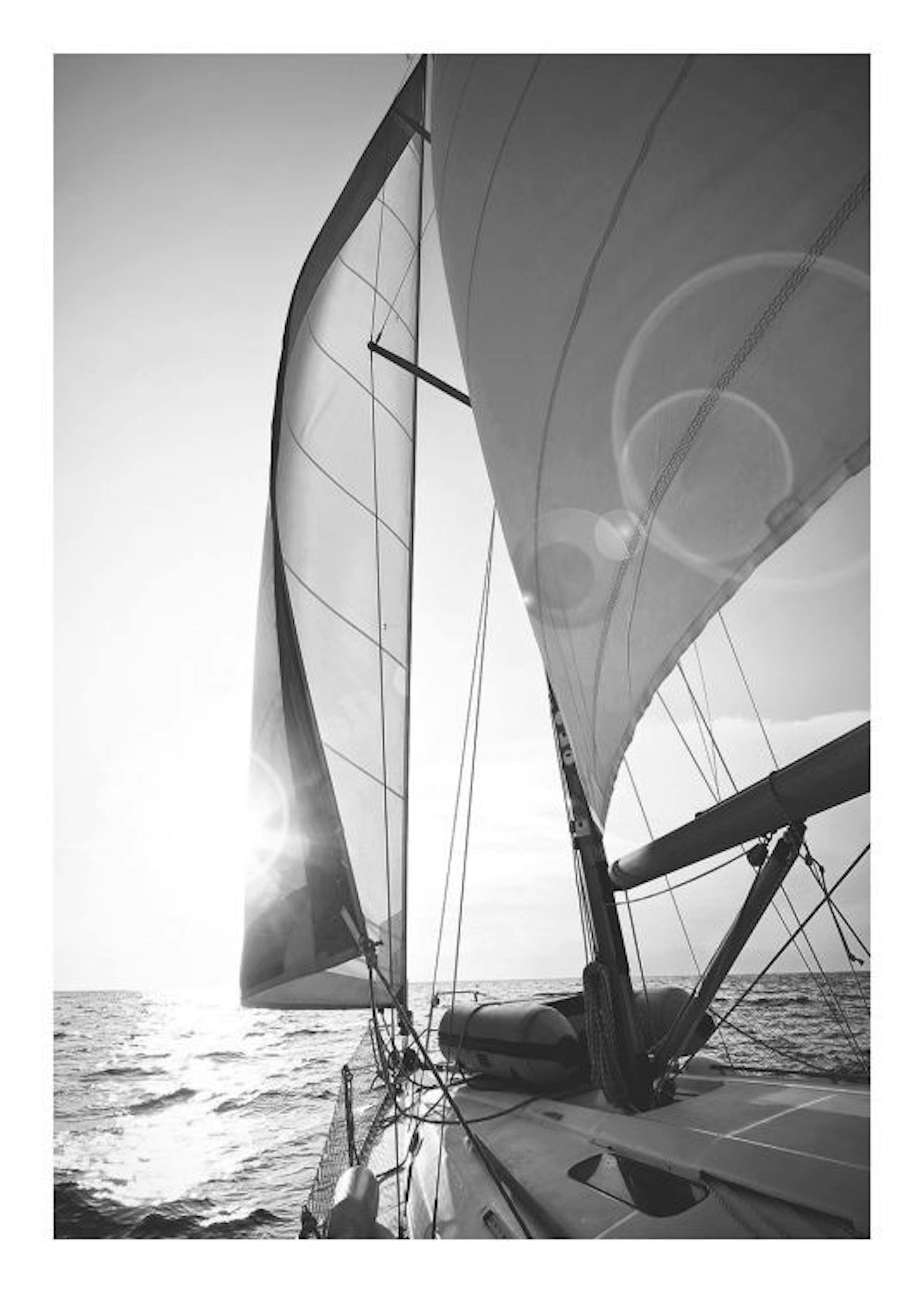 Sailing Plakát 0