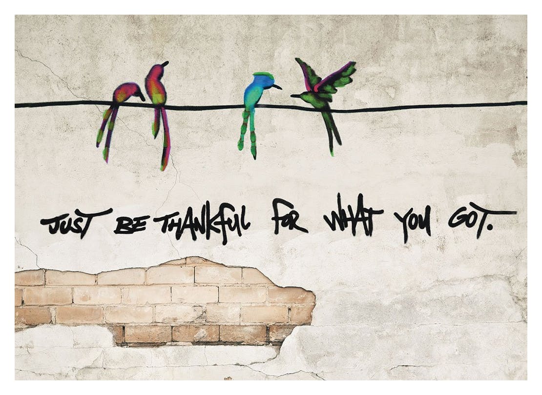 Thankful, Plakat (50x70 cm)-Plakaty