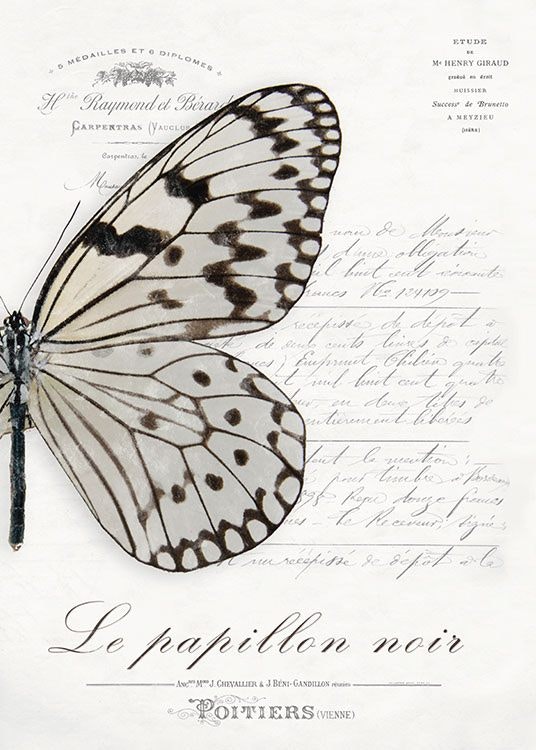 Plakater og posters med sommerfugler til fransk innredning og landlig stil