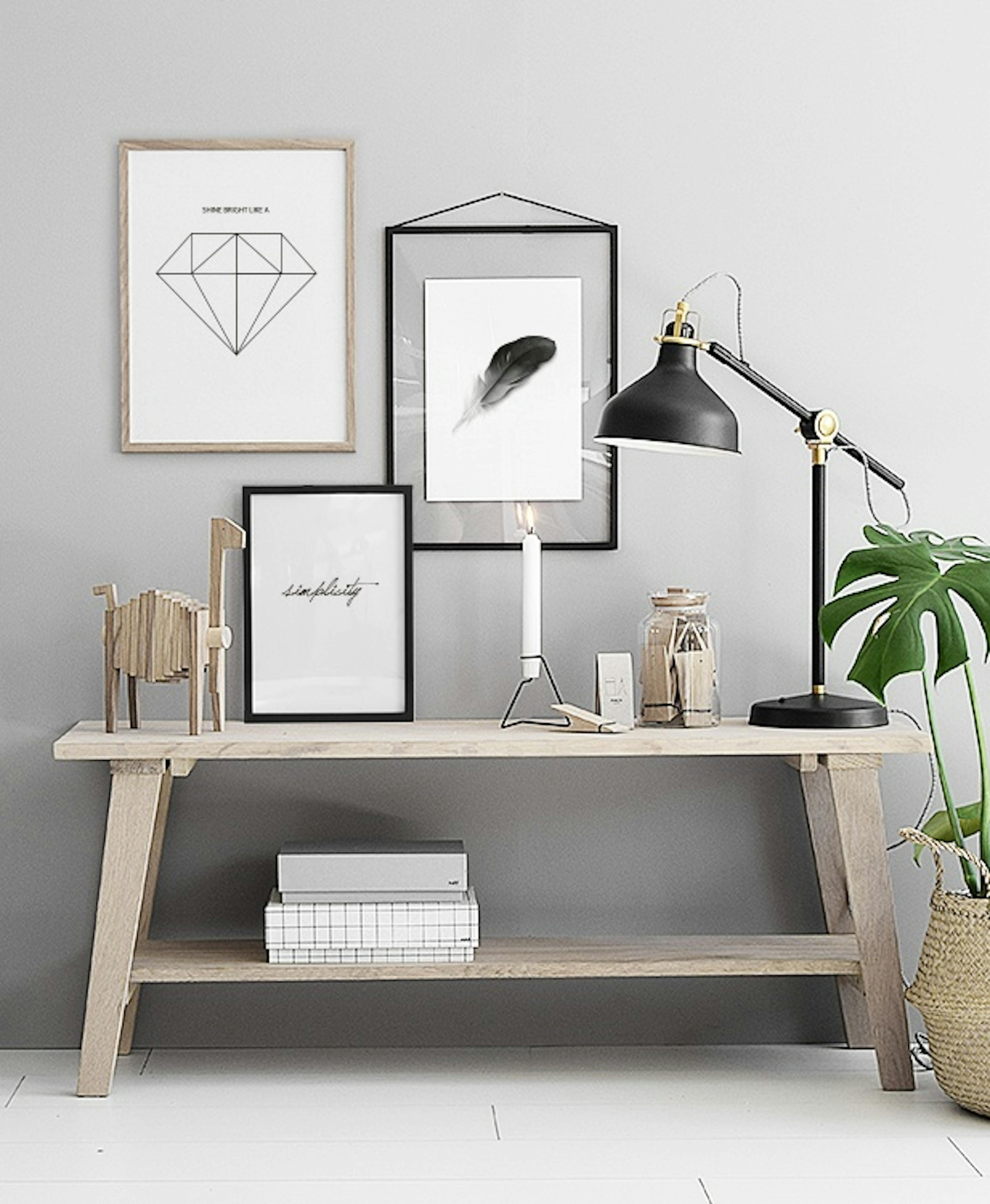 Compra cuadros en línea, pósters en blanco y negro con diamante y plumas