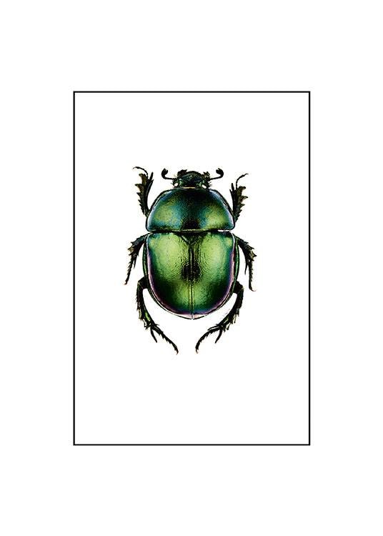 Poster mit Tieren und Insekten online zu einem modernen Einrichtungsstil