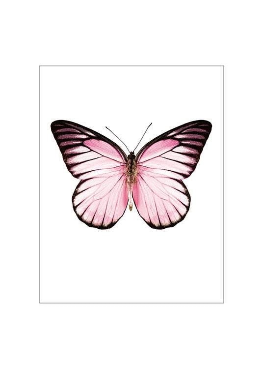 Printit perhosilla, tyylikkäät julisteet hyönteisillä netistä