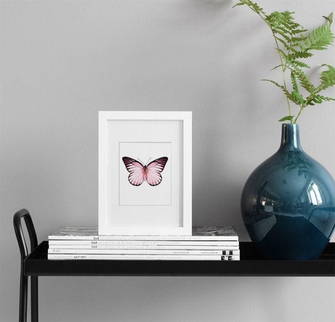 Prints och affischer med fjärilar och insekter. Fina tavlor på nätet.