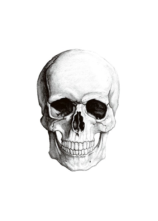 Affiche avec crâne humain pour décoration rétro.