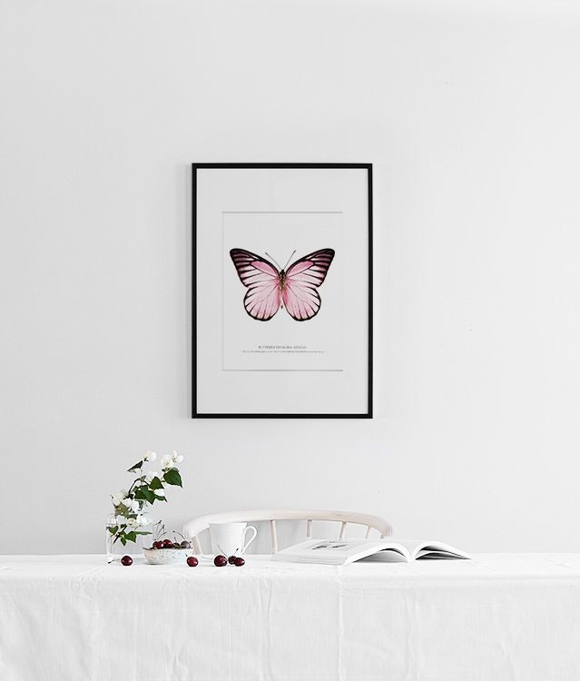 Plakat med sommerfugl. Billige plakater og posters online.