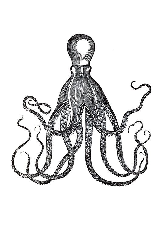 Vintage Octopus 0