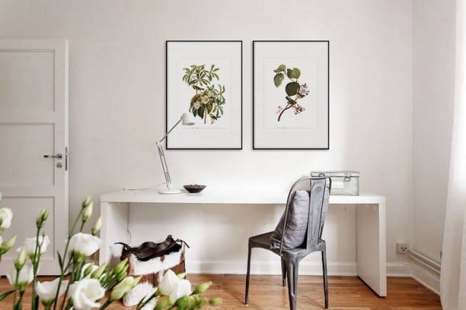 Interior design for the office and prints for the office, with botanical motifs