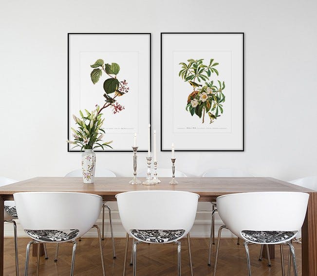 Dos bonitos cuadros botánicos grandes en marcos, bonitos con passepartout