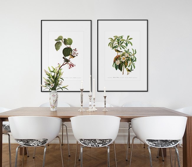 Dos bonitos cuadros botánicos grandes en marcos, bonitos con passepartout