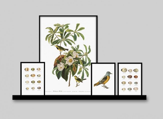 Collage with prints of nature motifs and animals on a picture ledge