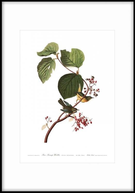 Grote posters met botanische motieven, prints voor thuis online