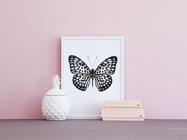 Indret med sort-hvide plakater og sommerfugle, flot til moderne indretning