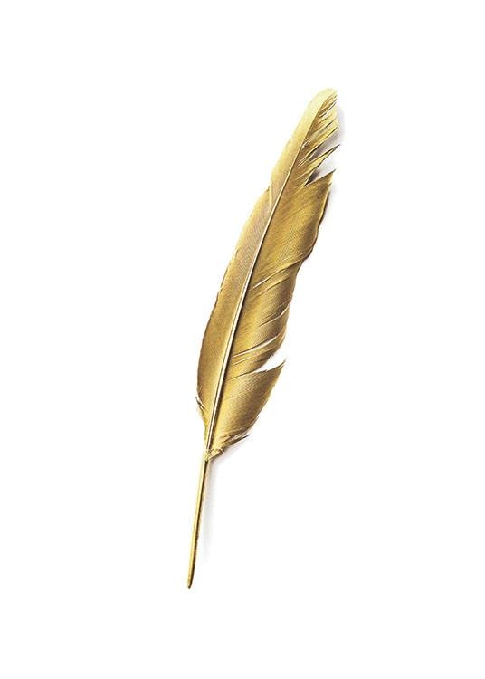 Poster with sleek feather in gold. Design and decorate with gold
