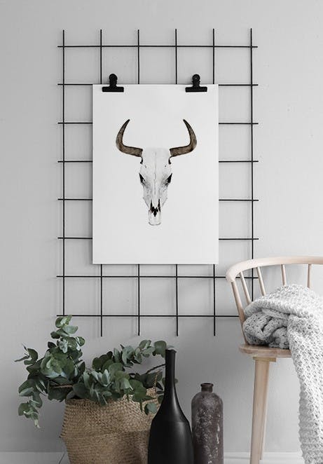 Poster met buffel hoorns en foto's voor modern interieur