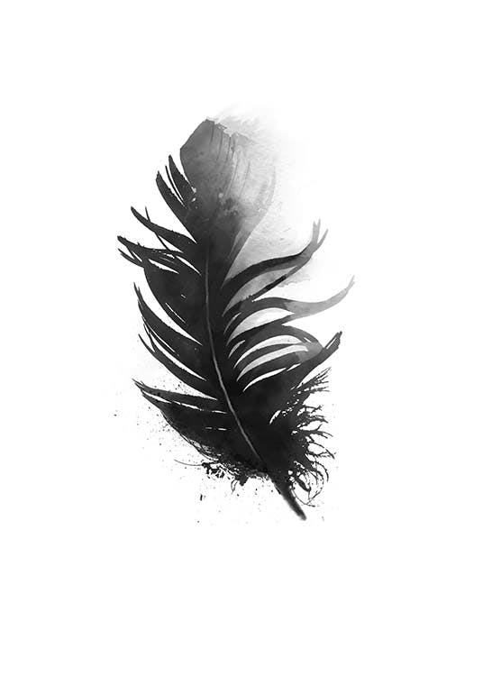 Black and white posters and prints, black feather in watercolour