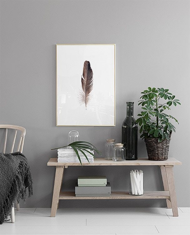Prints with feathers. Posters and frames online at Desenio