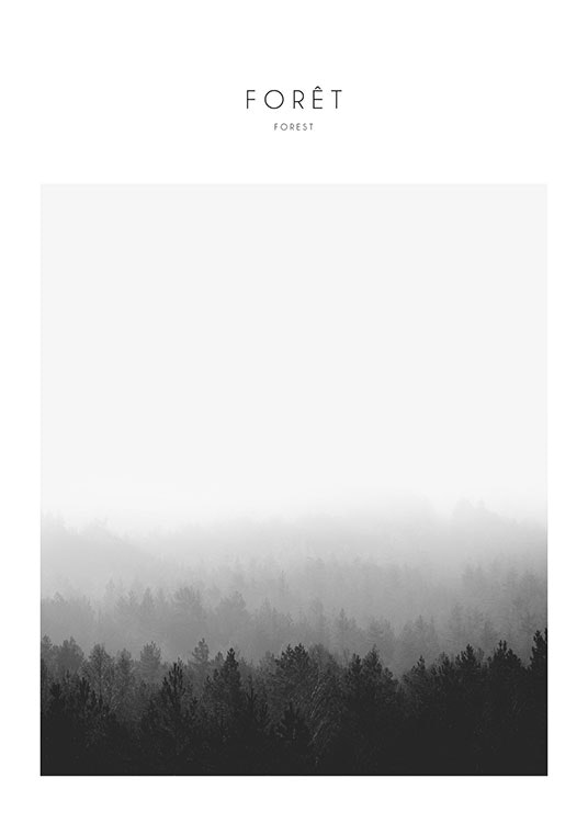 Prints and posters with photos of nature. Posters and prints online.