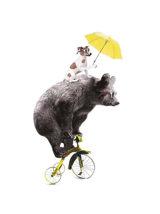 Bear On Yellow Bike Poster 0