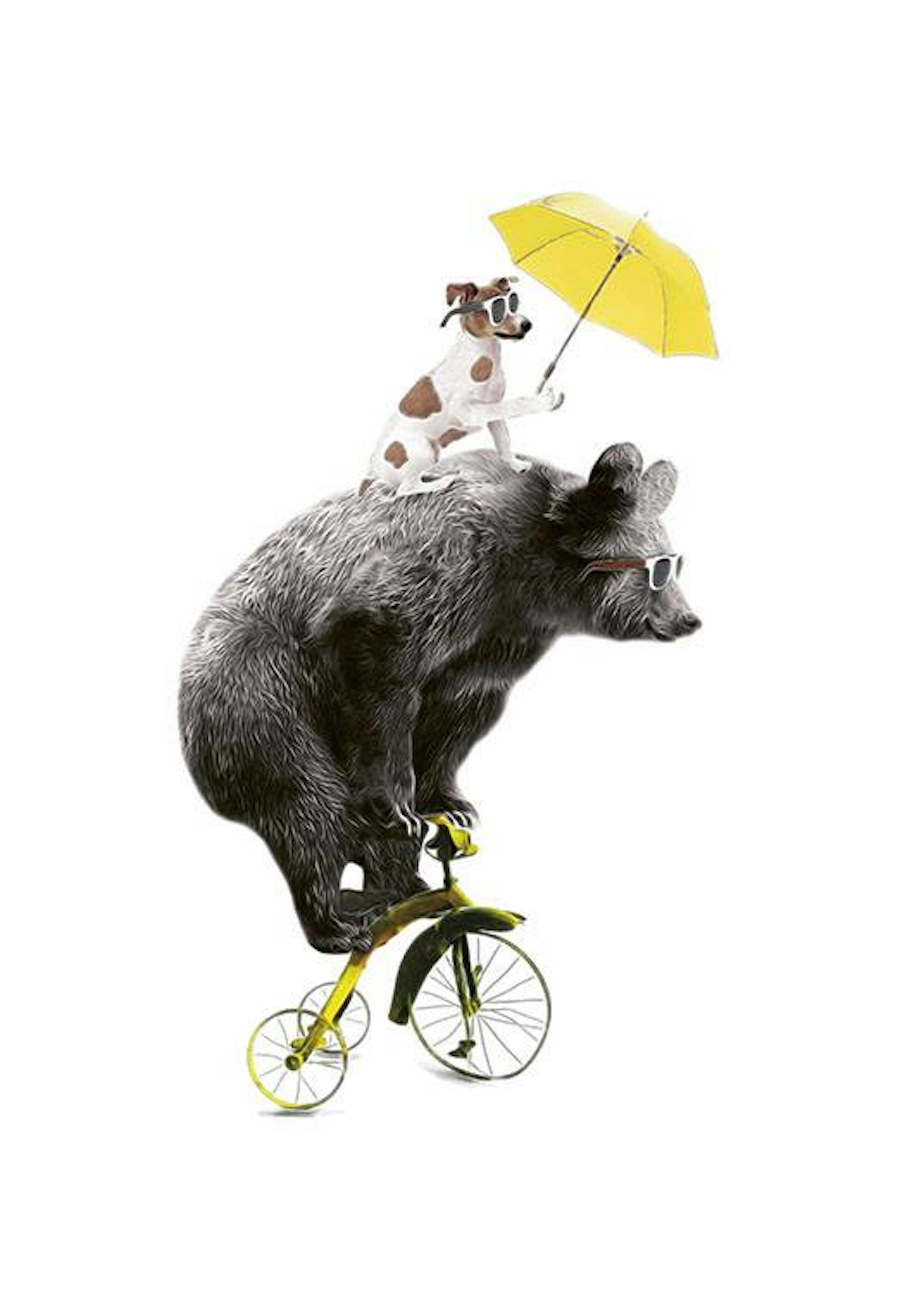 Bear On Yellow Bike, 포스터 0