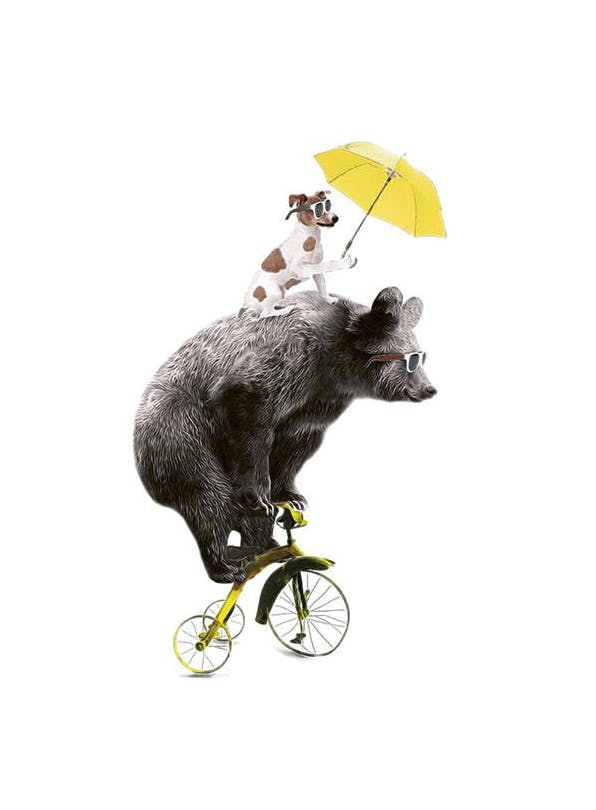 Prints - Bear On Yellow Bike, Print (30x40 cm) - Kids wall art