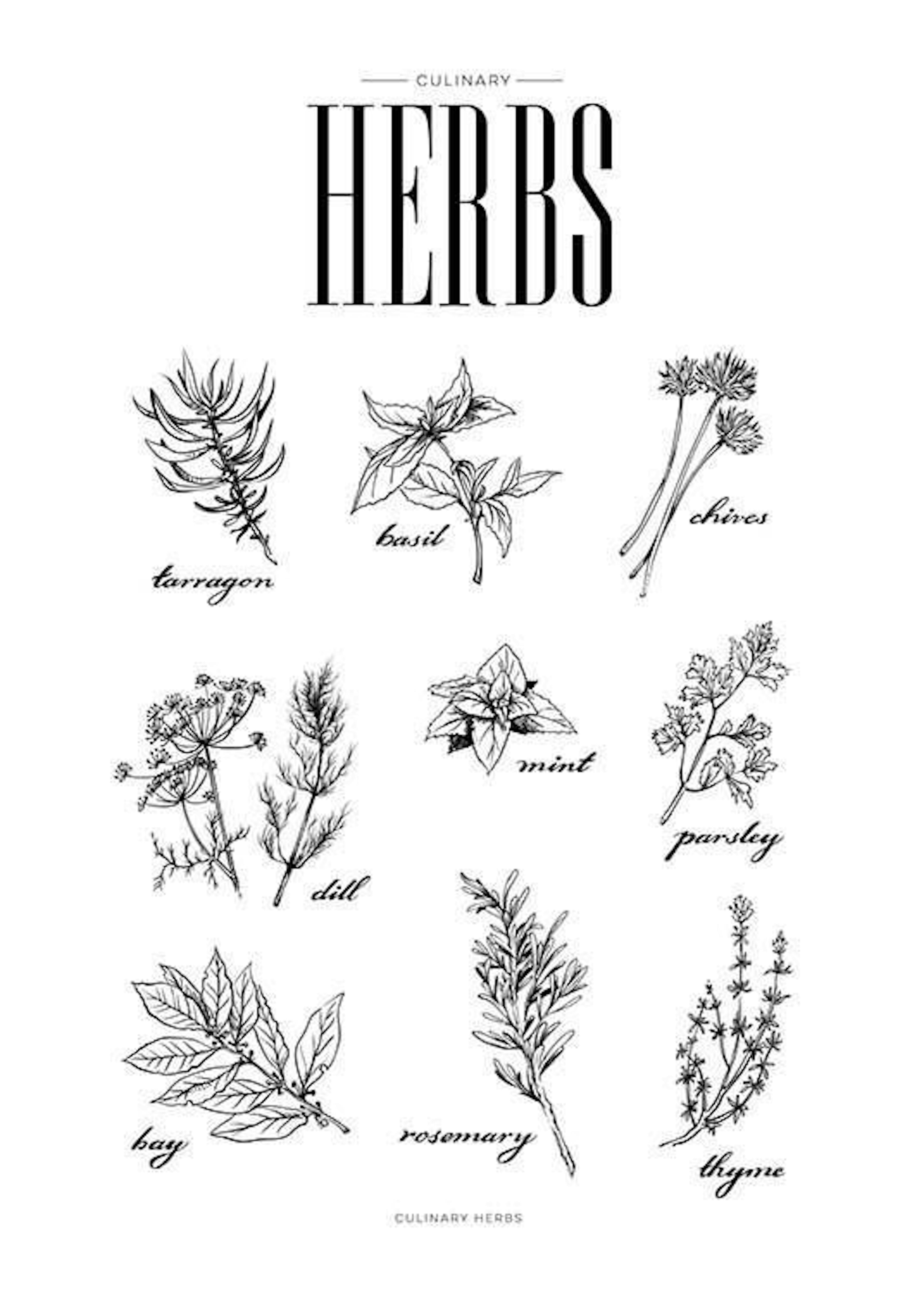 Herbs, Poster