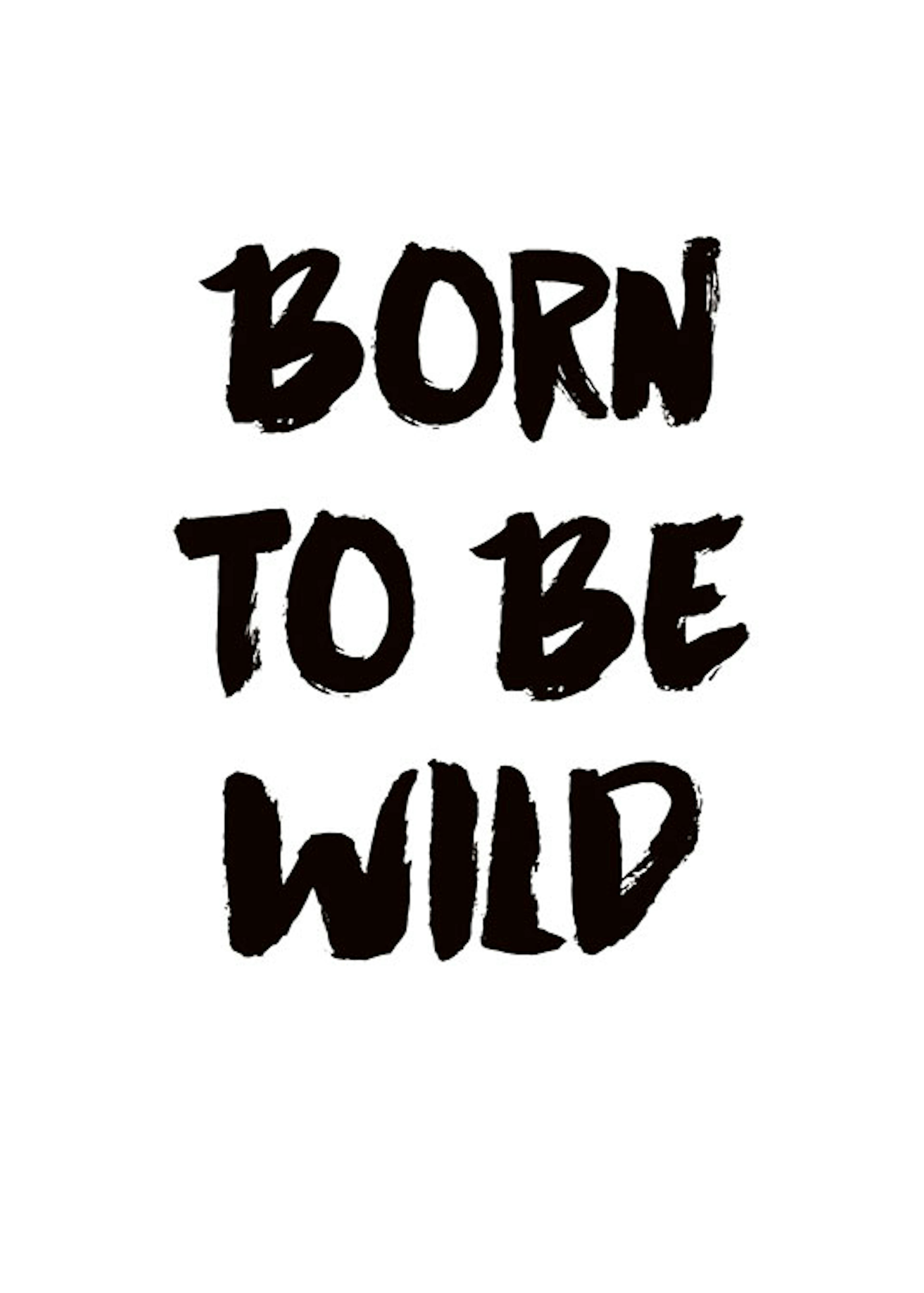 Born To Be Wild, Plagát 0