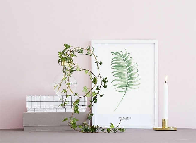 Gröna planscher med botanik. Billiga affischer och prints online.