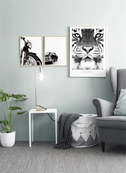 Svartvita tavlor med foton på bilar och djur, prints i vardagsrum