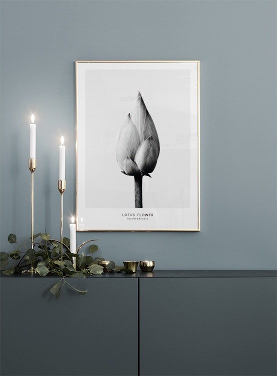 Estiloso póster botánico en blanco y negro para una decoración minimalista