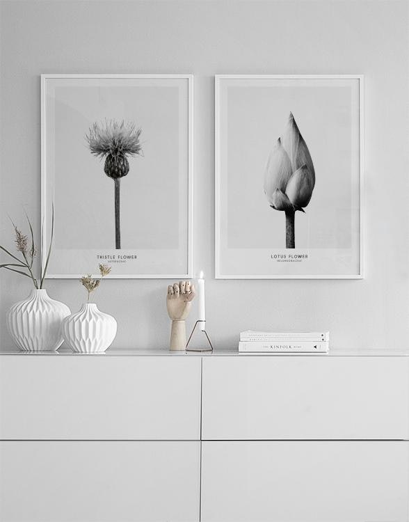 Botanical prints of a picture wall online with typography