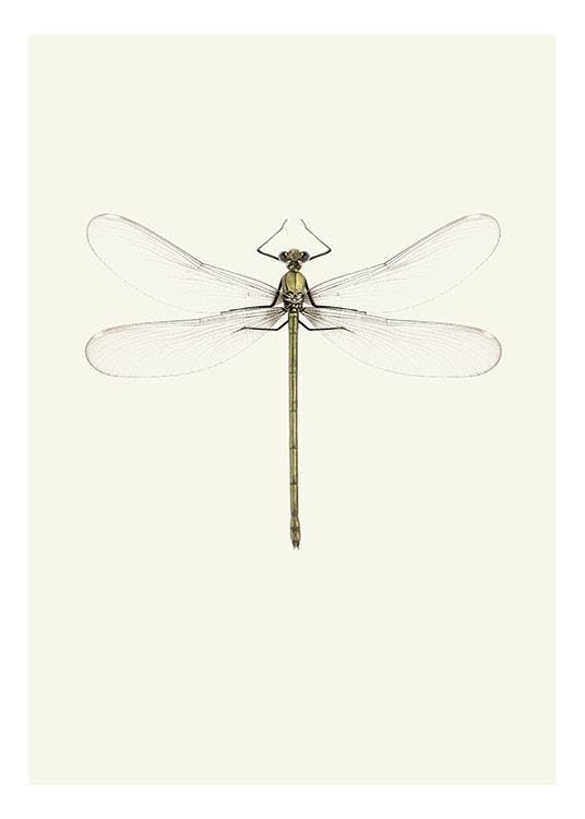 Poster with an insect for a trendy interior design online