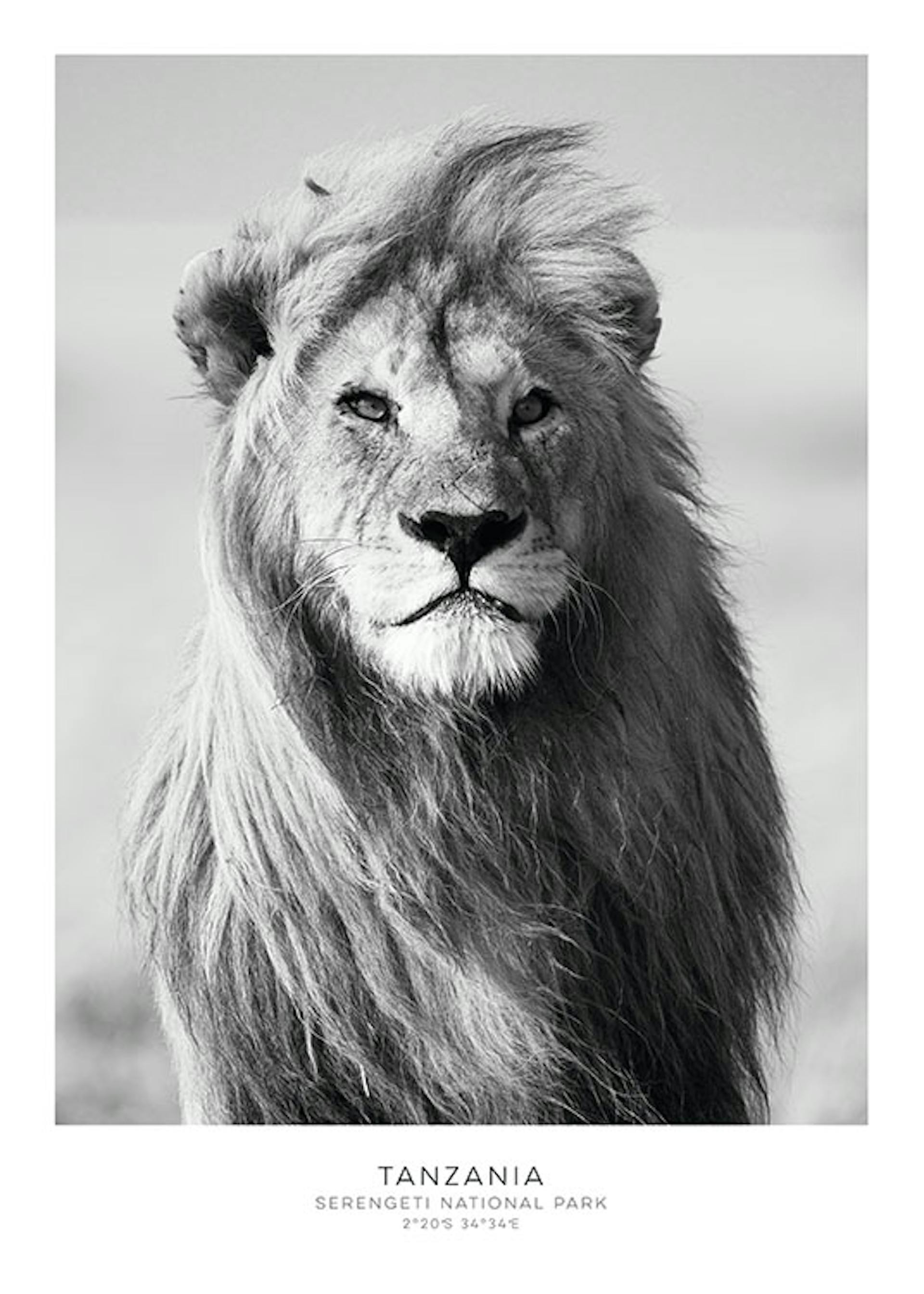 Sort-hvide plakater | Sort-hvid kunst online | Desenio.dk