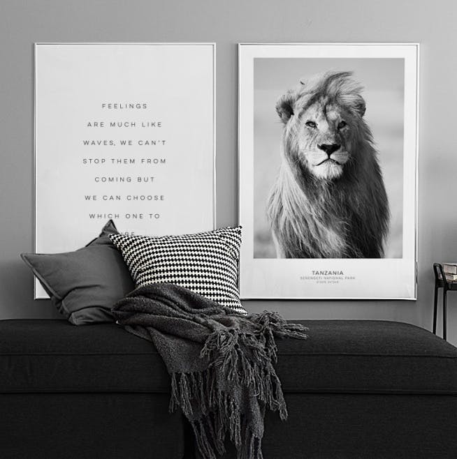Black and white photos of animals framed in a stylish home